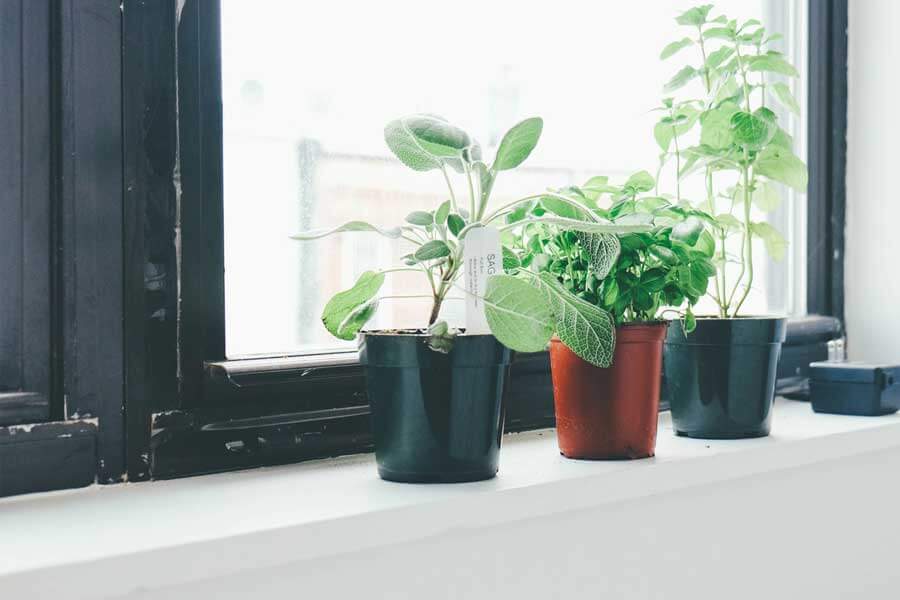 Business Growth Advice and Strategy